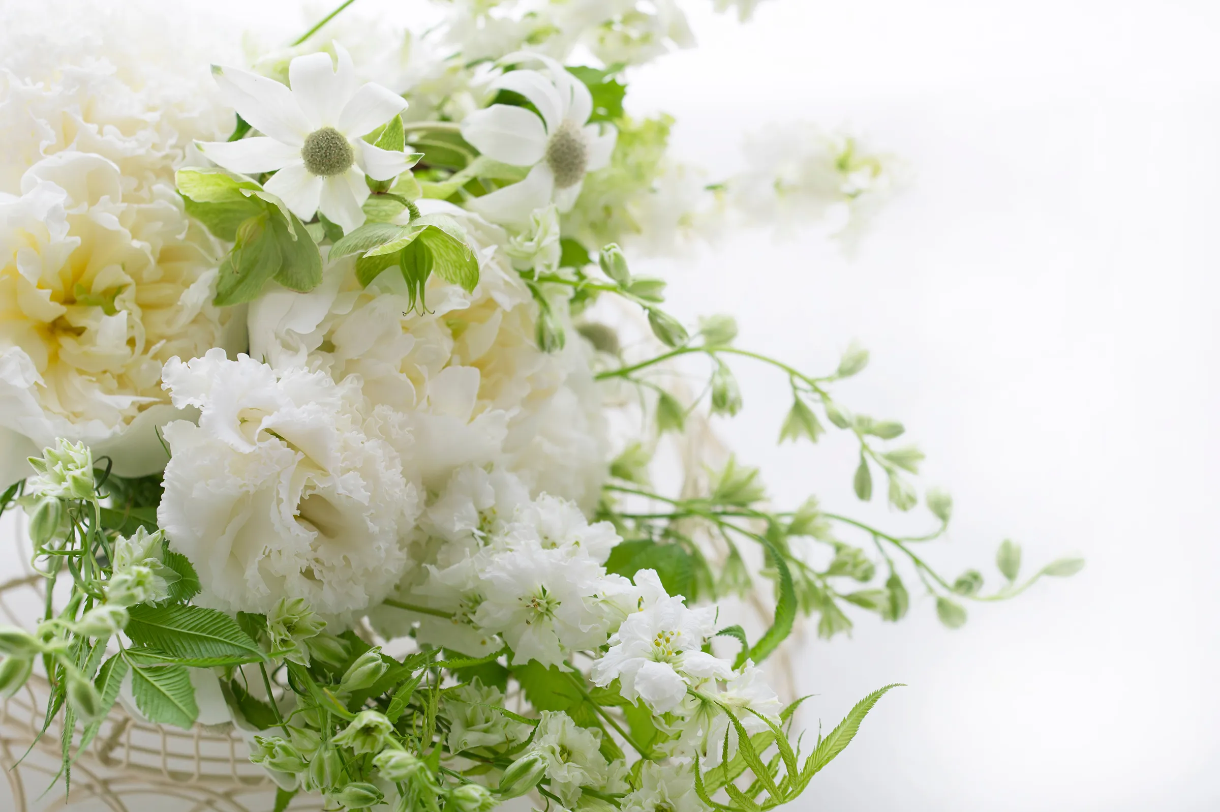 花の便り-祝花と供花の宅配サービス｜富士葬祭